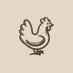 Chicken sketch icon.