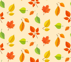 Autumn leaves background.