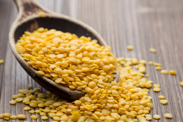 Lentil.
