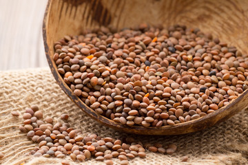 Lentil.