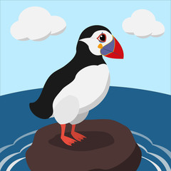cartoon puffin on a sea cliff color illustration