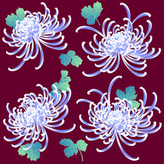Fototapeta na wymiar 日本的な菊の素材