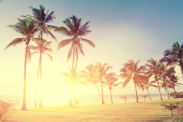 Naklejka na ściany i meble Palm trees at the beach