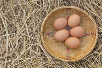 Horizontal photo of several hen eggs which are placed on nice haystack from dried straws and inside wicker basket. Light wooden wall is in background. .