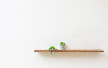 Wooden shelf on white wall with green plant.