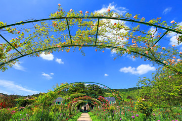 Jardin de Giverny au printemps