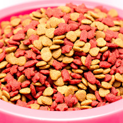 dry cat food in pink bowl isolated on white