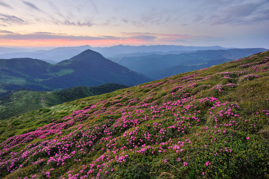 Warm twilight in mountains