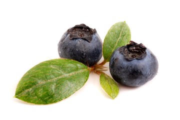 Blueberries isolated on white background. 