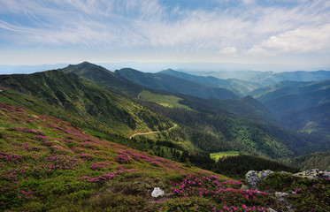 Summer mountains