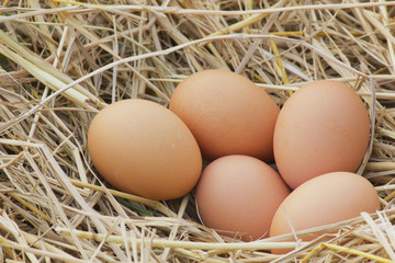 Horizontal photo of several hen eggs which are placed on nice haystack from dried straws and inside wicker basket. Light wooden wall is in background. .