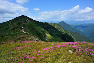 Summer mountains