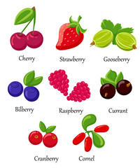 Berries flat icons set with grape cherry gooseberry blackberry isolated. Vector color illustration of different kinds