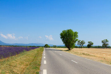 view of country road