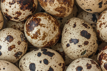 Quail eggs background