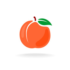 Cartoon style vector color isolated peach fruit illustration.