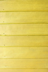 empty retro yellow woods wall background