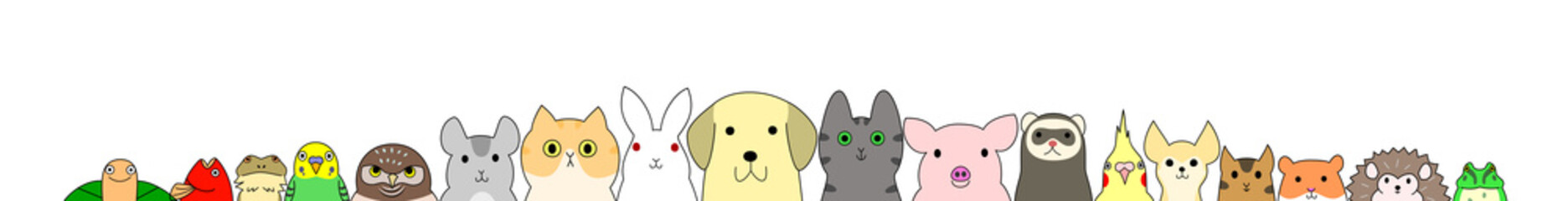 Pet animals banner