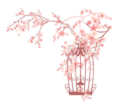 sakura flowers and bird cage