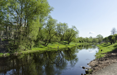 Obraz premium River with reflection of tree. Blue sky
