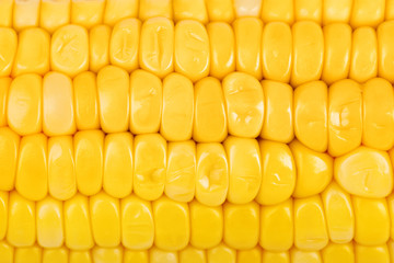 Corn macro