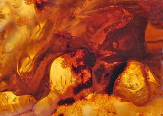 Baltic amber, resin segments, fossil millions of years