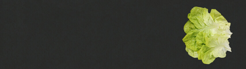 Feuilles de salade laitue sur ardoise, carte, menu, bannière 