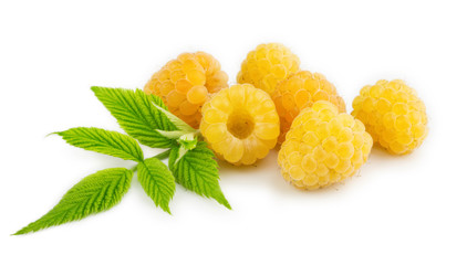 Yellow raspberries isolated on the white background