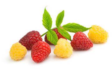 Raspberries isolated on white