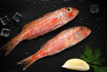 Fresh fish red mullet on slate tray Eye bird view