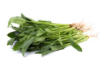 Fresh amaranth leaves isolated on white background