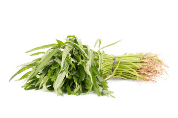 Morning glory green vegetable