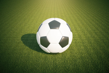 Fototapeta premium Football on grass