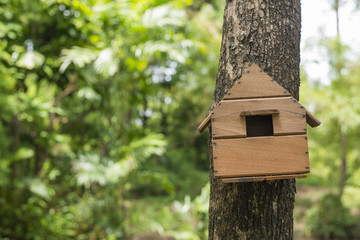 bird house in tree