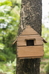 bird house in tree
