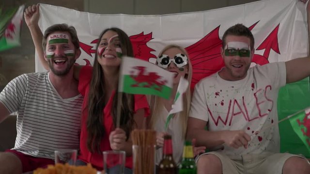 rejoicing very happy welsh soccer fans cheering for wales

