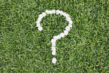Question mark made from daisy flowers on green grass background, spring time.