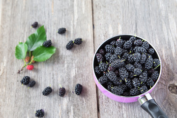 Fototapeta na wymiar berries black mulberry