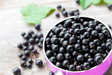 black currant berries