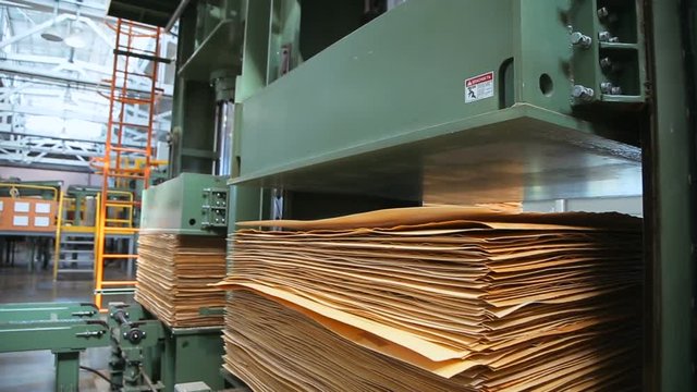pressing plywood sheets