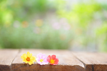 Flowers on wooden table