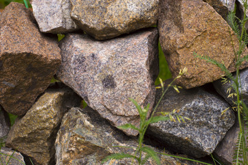 Close up of wall of stones in garden