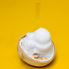 ice cream  in coconut