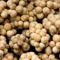 fresh wollongong in market