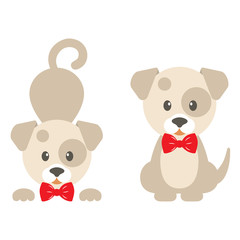 cartoon dog with tie vector set