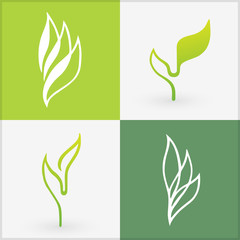 Organic icons elements. Bio set of four differently designed leaves. Sample of vector illustration design. Best used for logos, advertisement, and to promote healthy products.