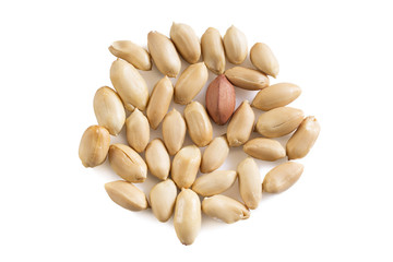 Peanuts composition on white
