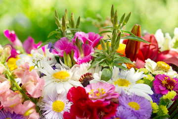 bouquet of summer flowers
