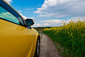 The car on a background of road