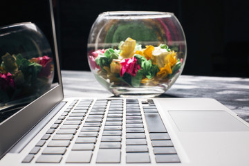 Laptop and bowl closeup